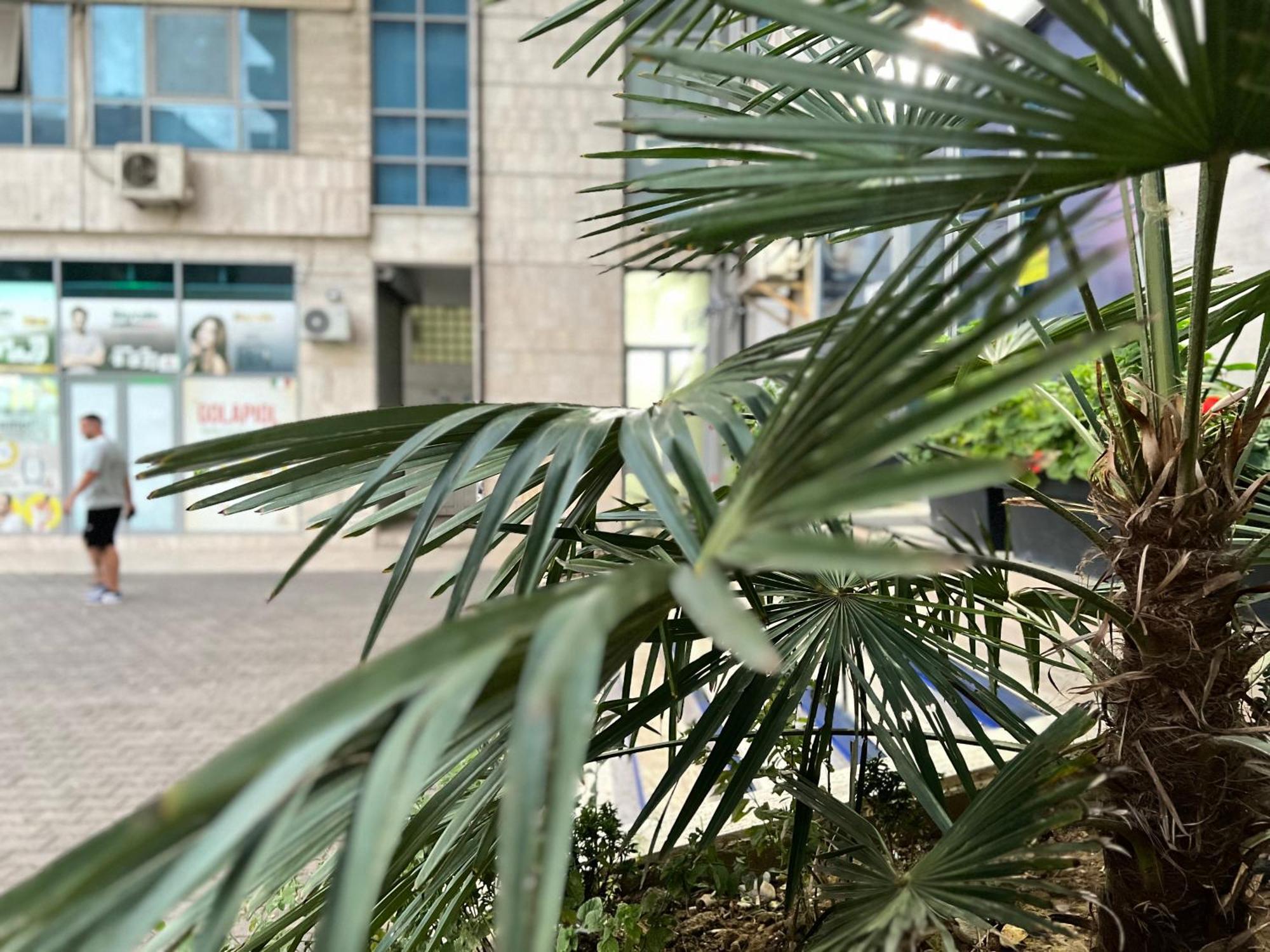 New Baazar Terrace Apartment Tirana Kültér fotó